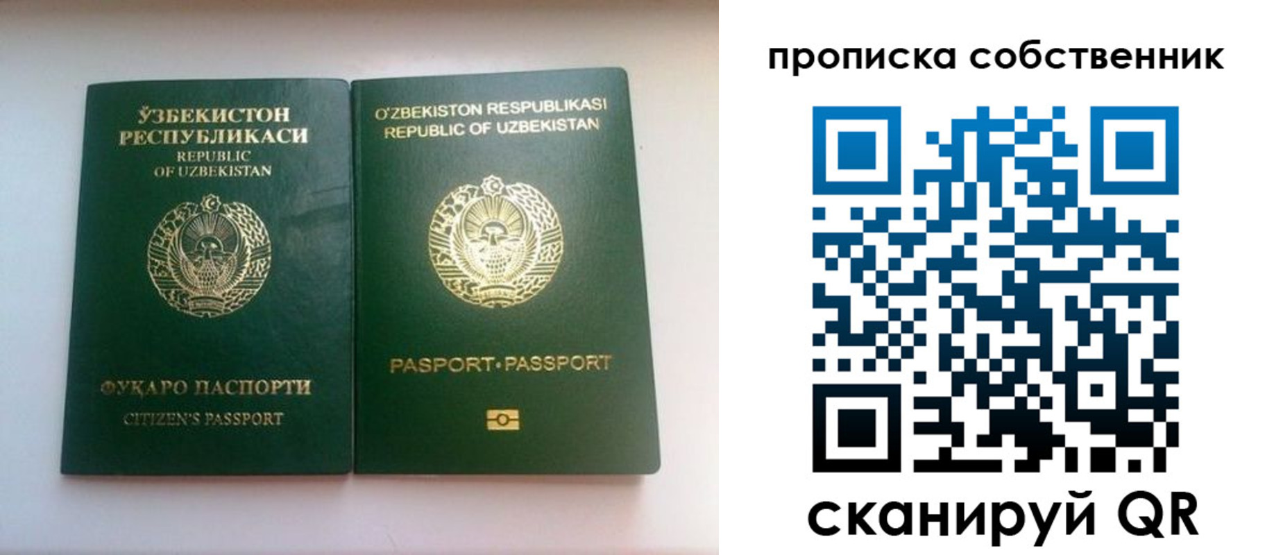 временная регистрация для школы в Вологде